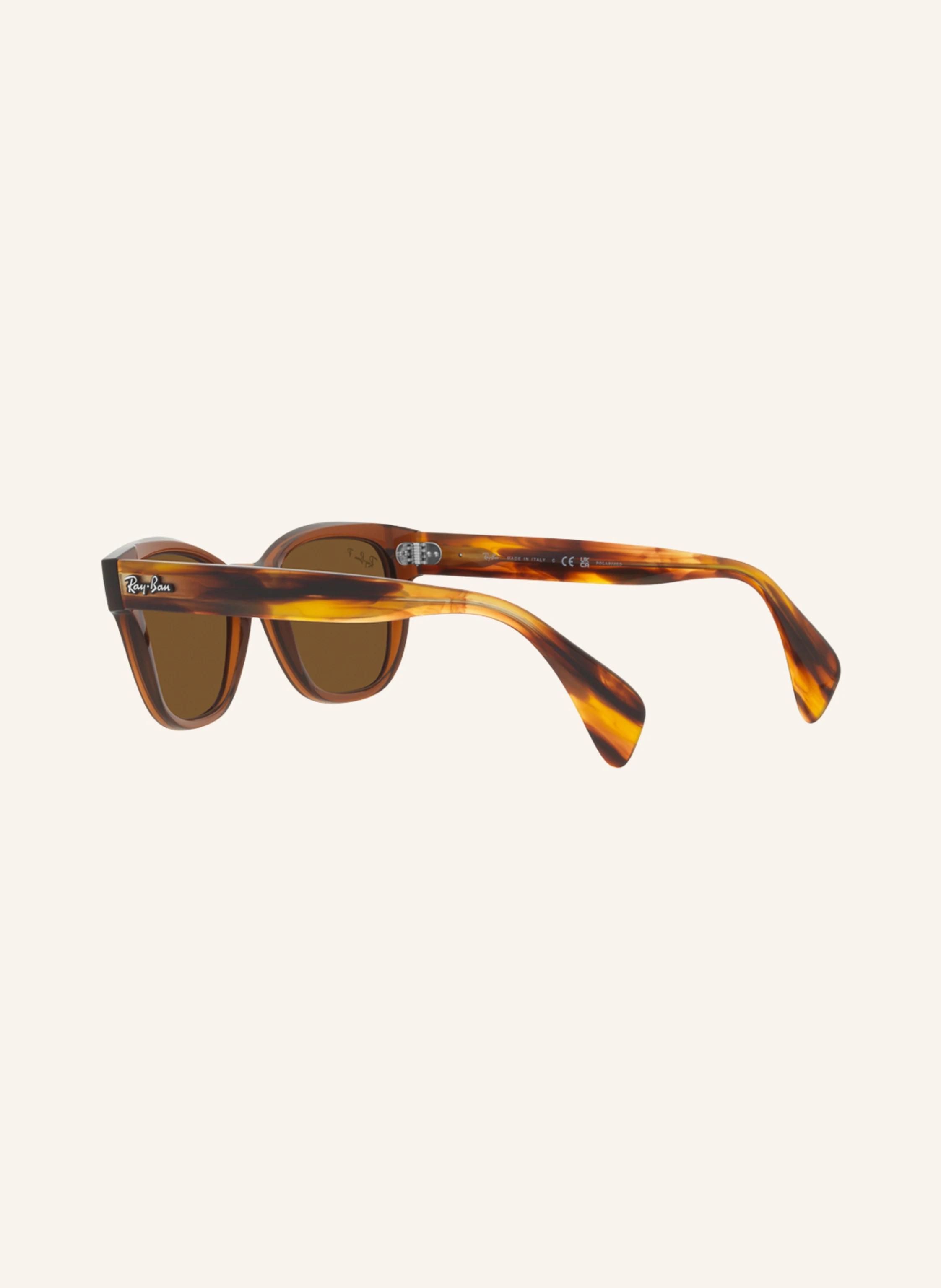Ray-Ban Sonnenbrille RB0880S