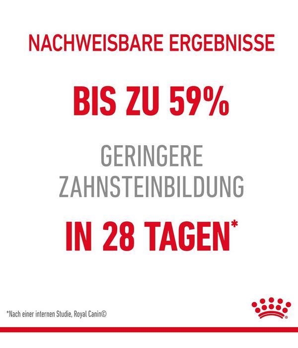 ROYAL CANIN® Trockenfutter für Katzen Dental