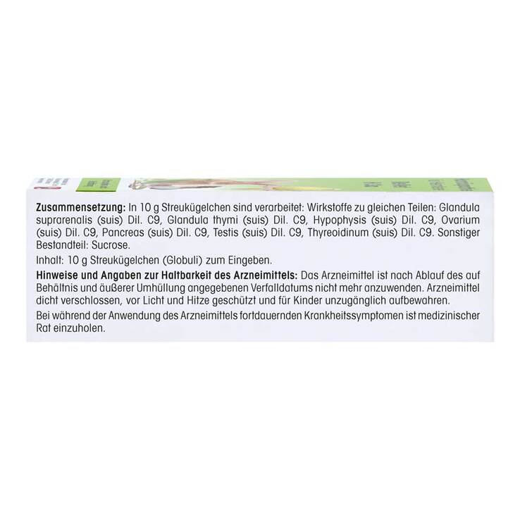 ReVet H 13 vet. Globuli, 10 g