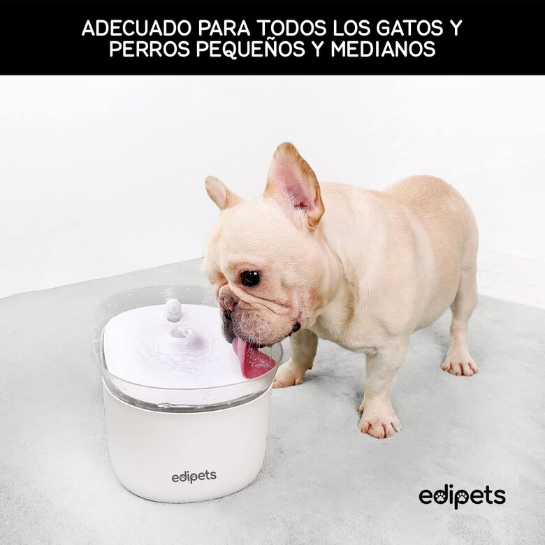 Fonte de água automática Edipets com sensor de movimento para gatos, branca.
