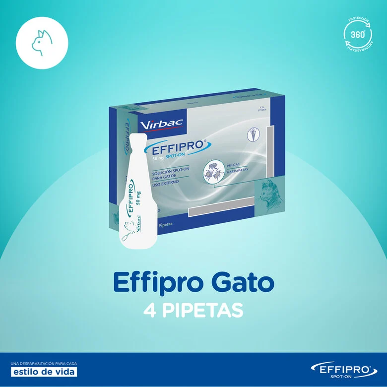 Pipetas antiparasitárias Effipro para gatos