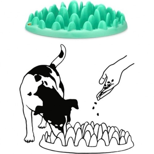 Alimentador lento turquesa para animais de estimação