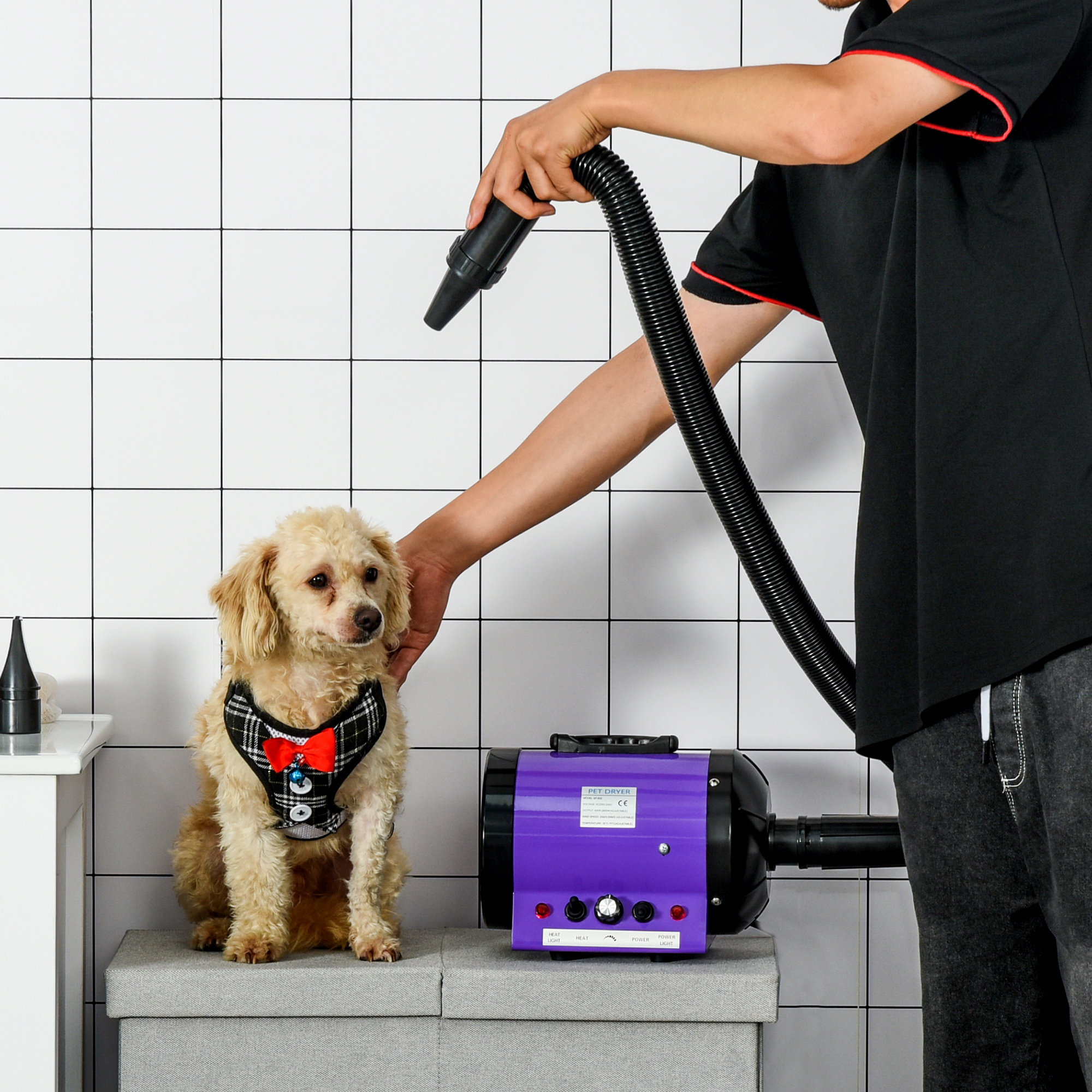 Secador de pelos para cães PawHut 2800W, soprador de água para animais de estimação com temperatura e velocidade do vento ajustáveis, 3 bicos, mangueira flexível de 2,1 m, alça portátil, 40 x 16 x 20 cm, preto e roxo.