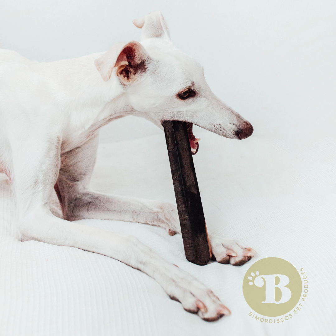 BIMORDISCOS Mastigáveis de Madeira de Ébano para Cães - Pacote com 2 unidades (Grande)