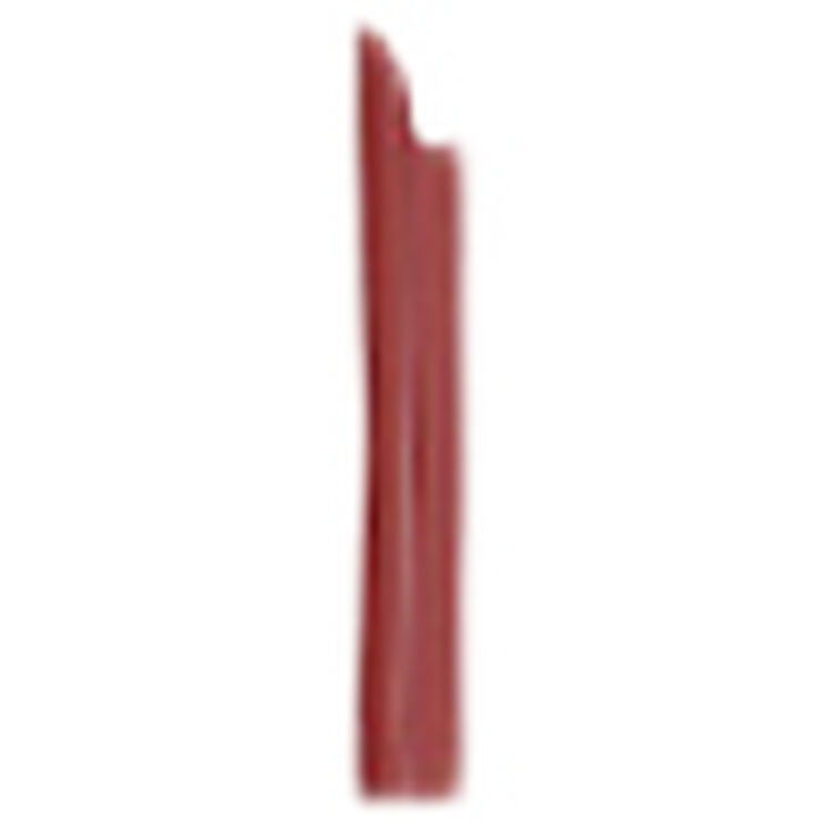 L'Oréal Paris Color Riche Satin Nudes 170 Decadent