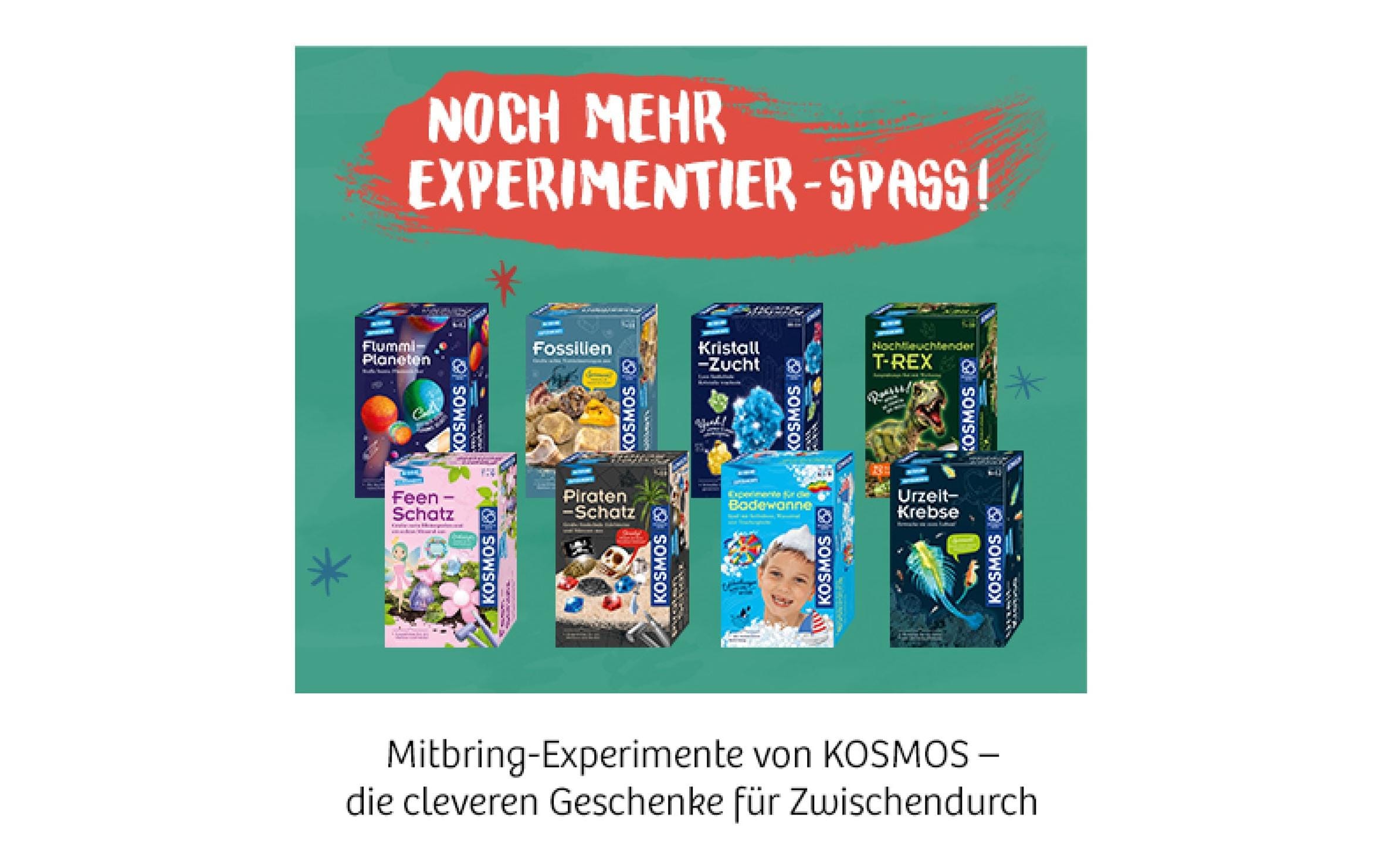 Experimentierkasten Elektro-AlarmBausatz mit Warnlicht und Sirene