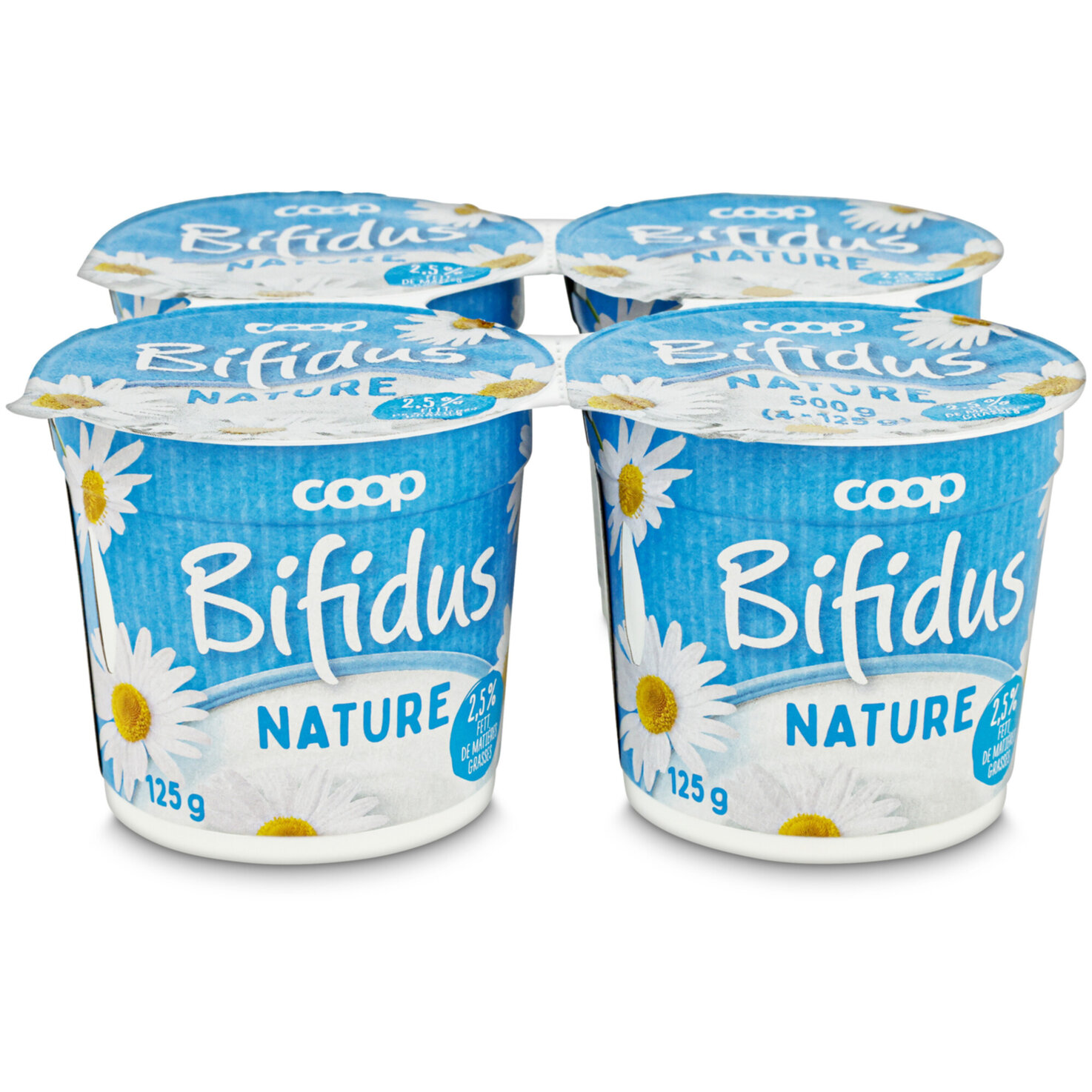 Bifidus Joghurt Nature 4x125g
