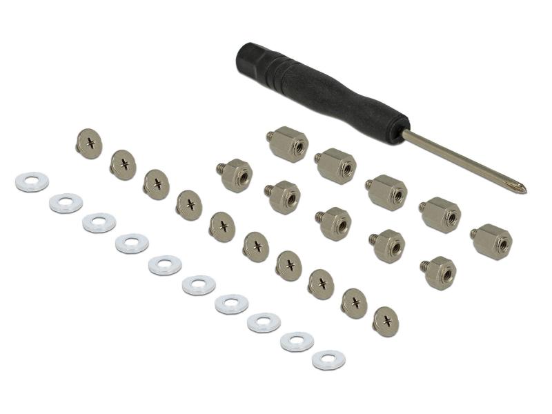 Delock Schrauben Befestigungsset 31-teilig für M.2 SSD Modu Delock ﻿Befestigungsset 31-teilig für M.2 SSD / Modul