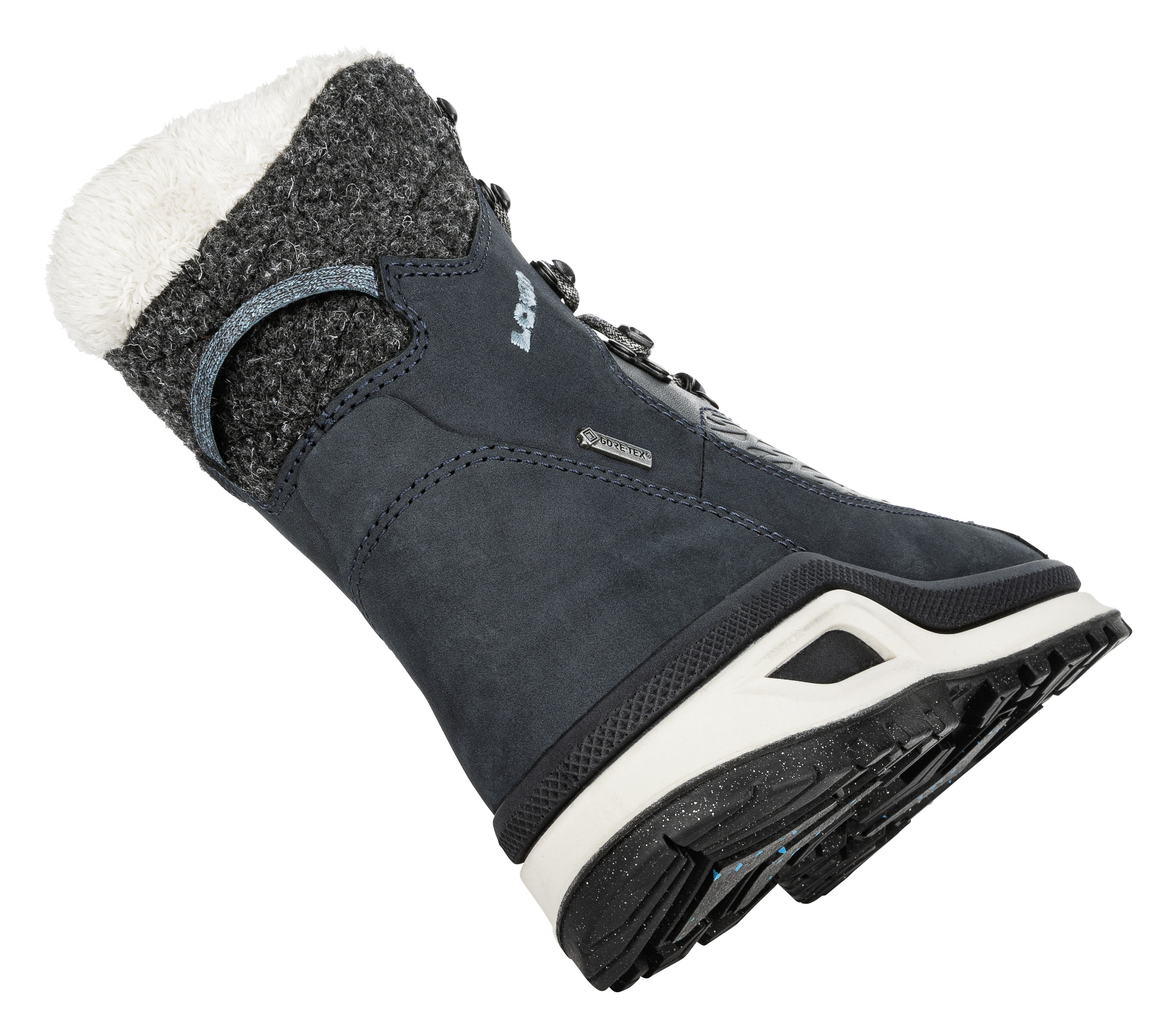 Renegade Evo Ice GTX Ws