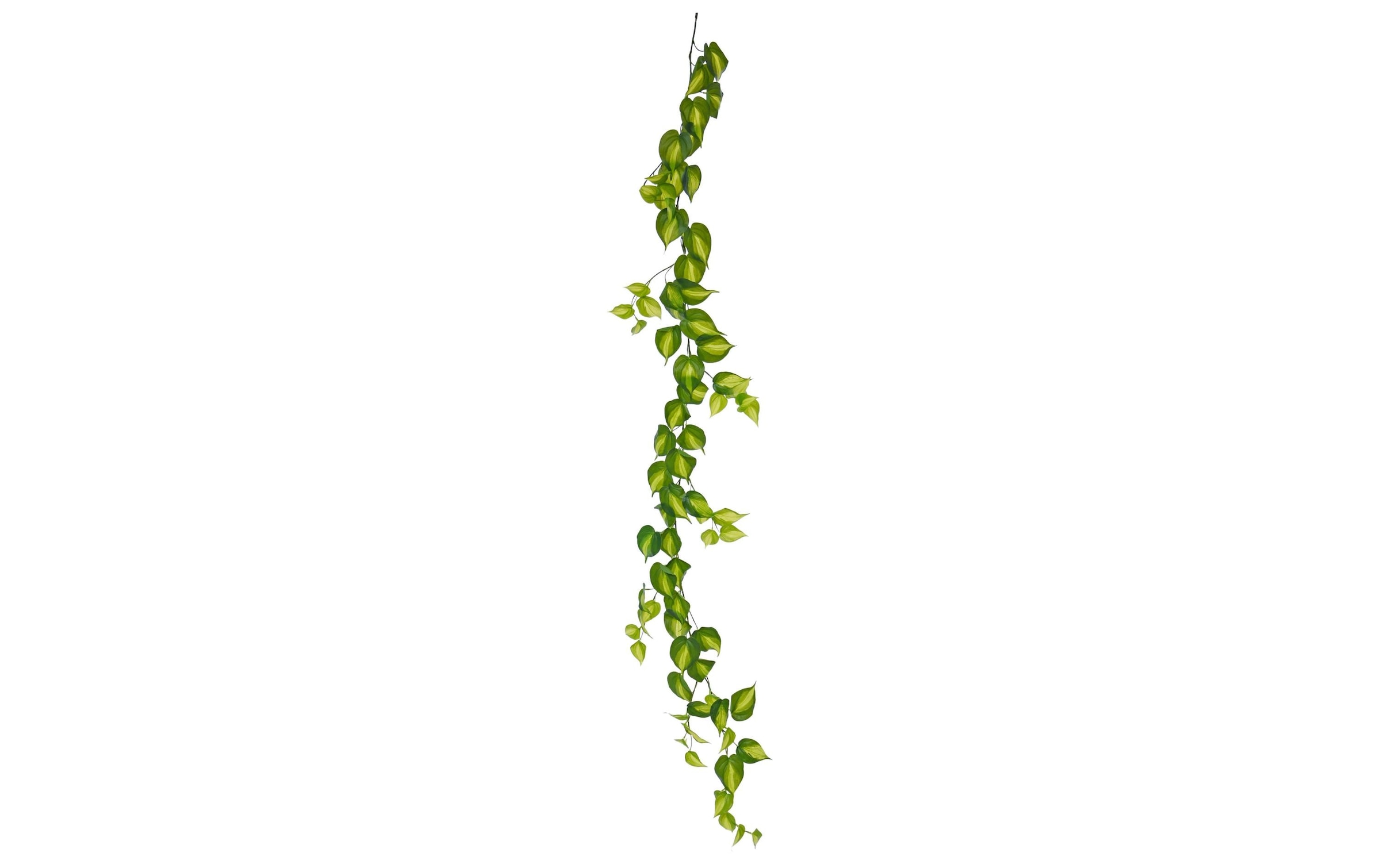 Botanic-Haus Kunstblume »Philodendron Scandens Brasil 180 cm«