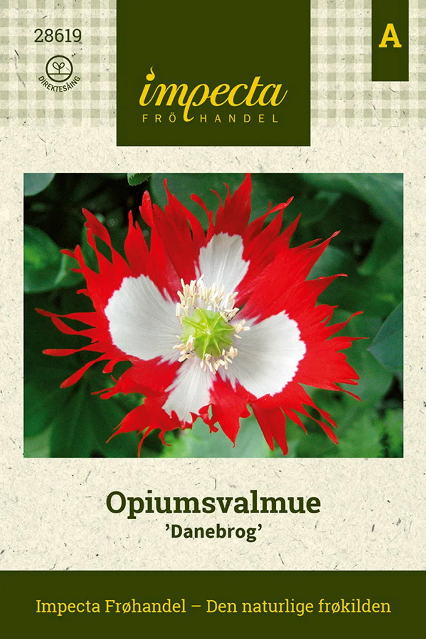 Papaver somniferum 'Danebrog' Opiumsvalmue 'Danebrog'