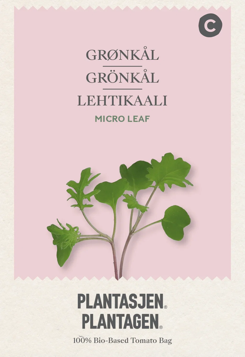 Brassica oleracea Grønnkål 'Red Russian' - Mikrogrønt