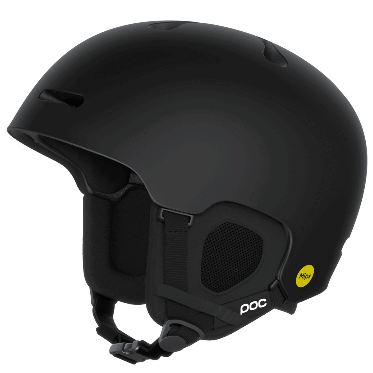 POC<br>Fornix MIPS