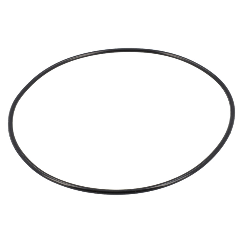 O-ring Pumphus