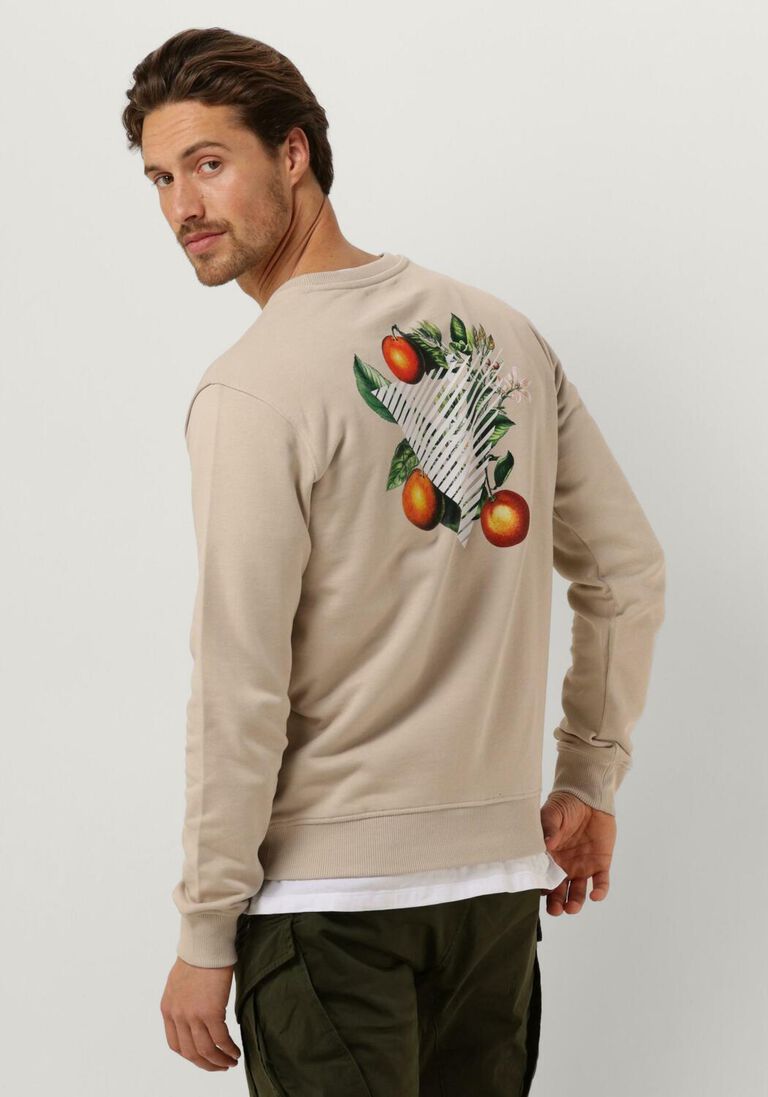 PURE PATH zand pure path trui crewneck with fnt and back print