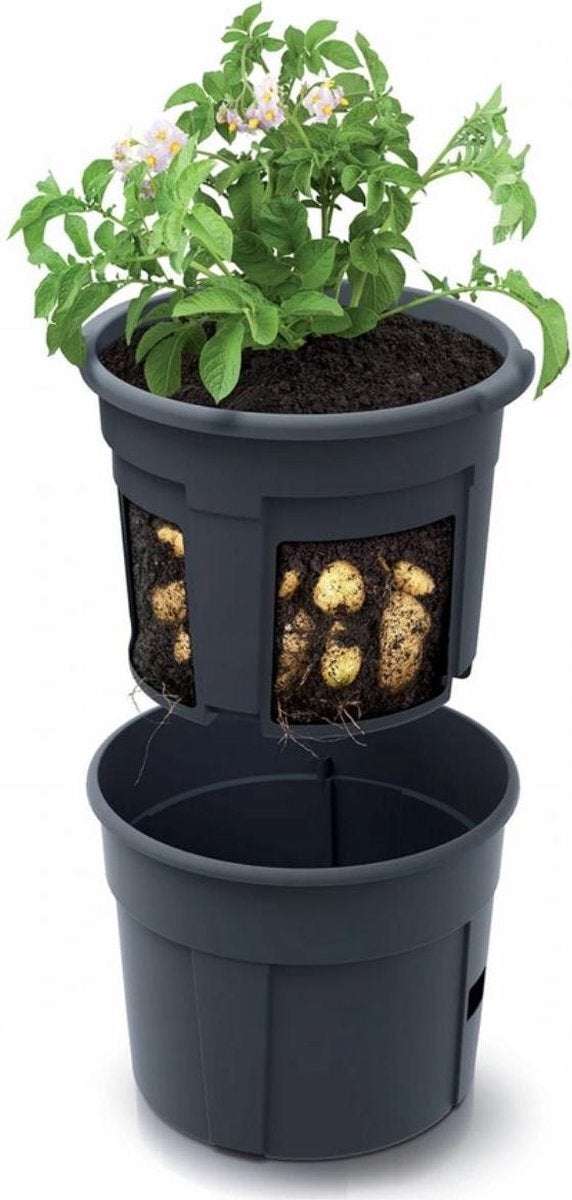 Prosperplast kweekpot zwart D 23,6 x H 26 cm