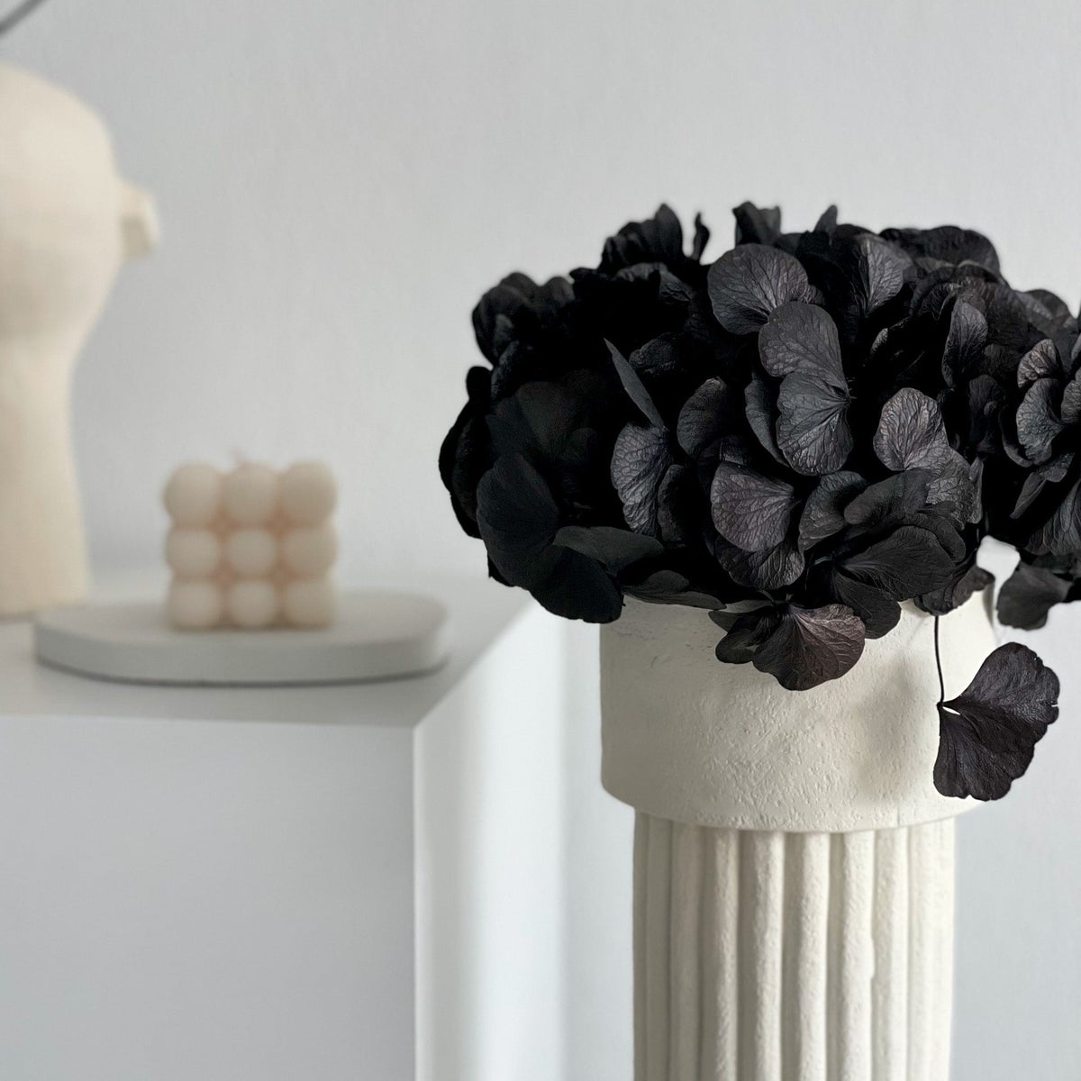 Hortensia: Tijdloze schoonheid, geconserveerde hortensia's als perfecte decoratie