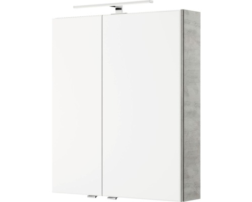 Pelipal Xpressline 4035 spiegelkast, 60 x 14,5 x 70,3 cm, grijs, 2-deurs, LED, IP44