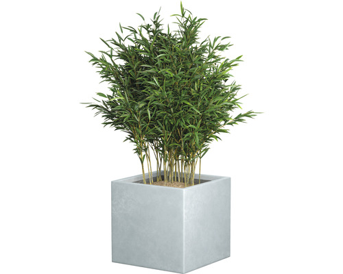 Lafiora Emilia kunststenen plantenbak, 44 x 44 x 42 cm, lichtgrijs