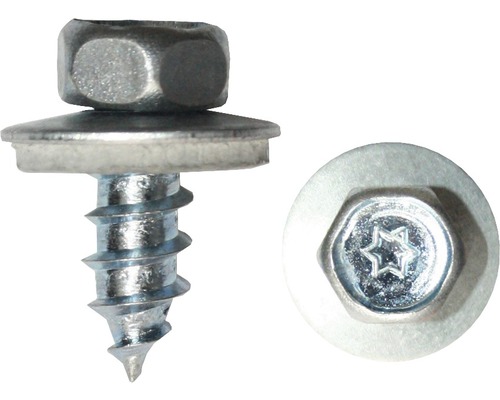 Gevelbouwschroef met afdichtring 6,5x19 mm, verzinkt, 100 stuks