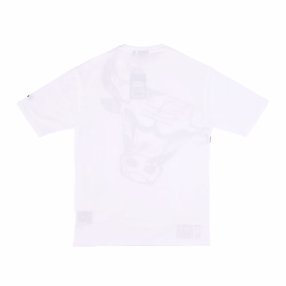 New Era Chicago Bulls AOP Oversize Tee