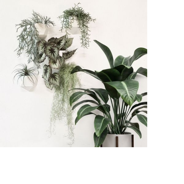 Groovy Magnets ICO Plantenbak – Wit