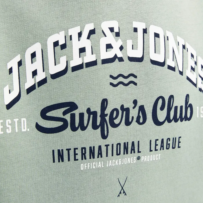 Jack & Jones Logo Hoodie Junior