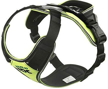 Julius-K9 IDC®Longwalk Y-tuig, L, neon-grijs