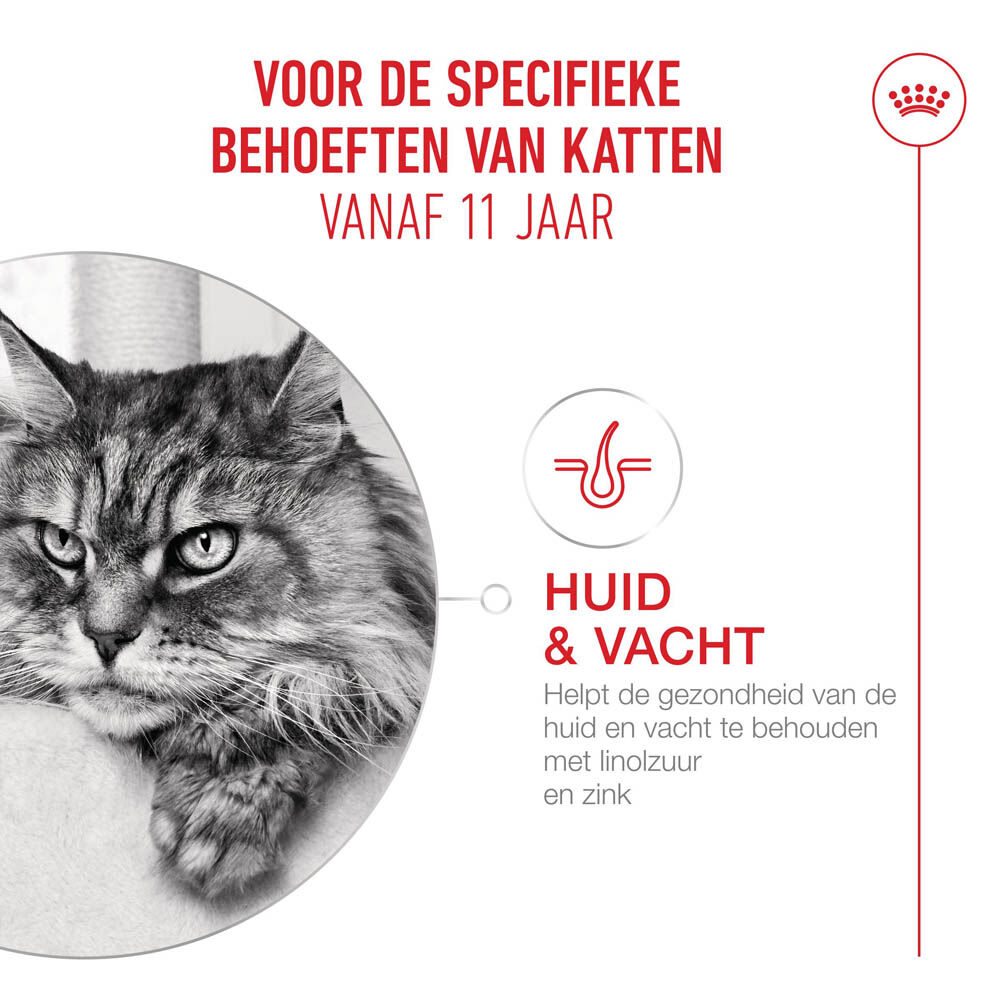 Royal Canin Ageing 11  - Kattenvoer - 0.4 Kilogram