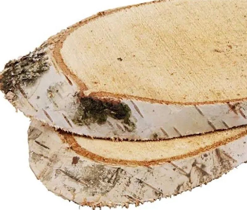 Houten Boomschijf Langwerpig - Berkenhout - Ovaal - Natuurlijke Schors