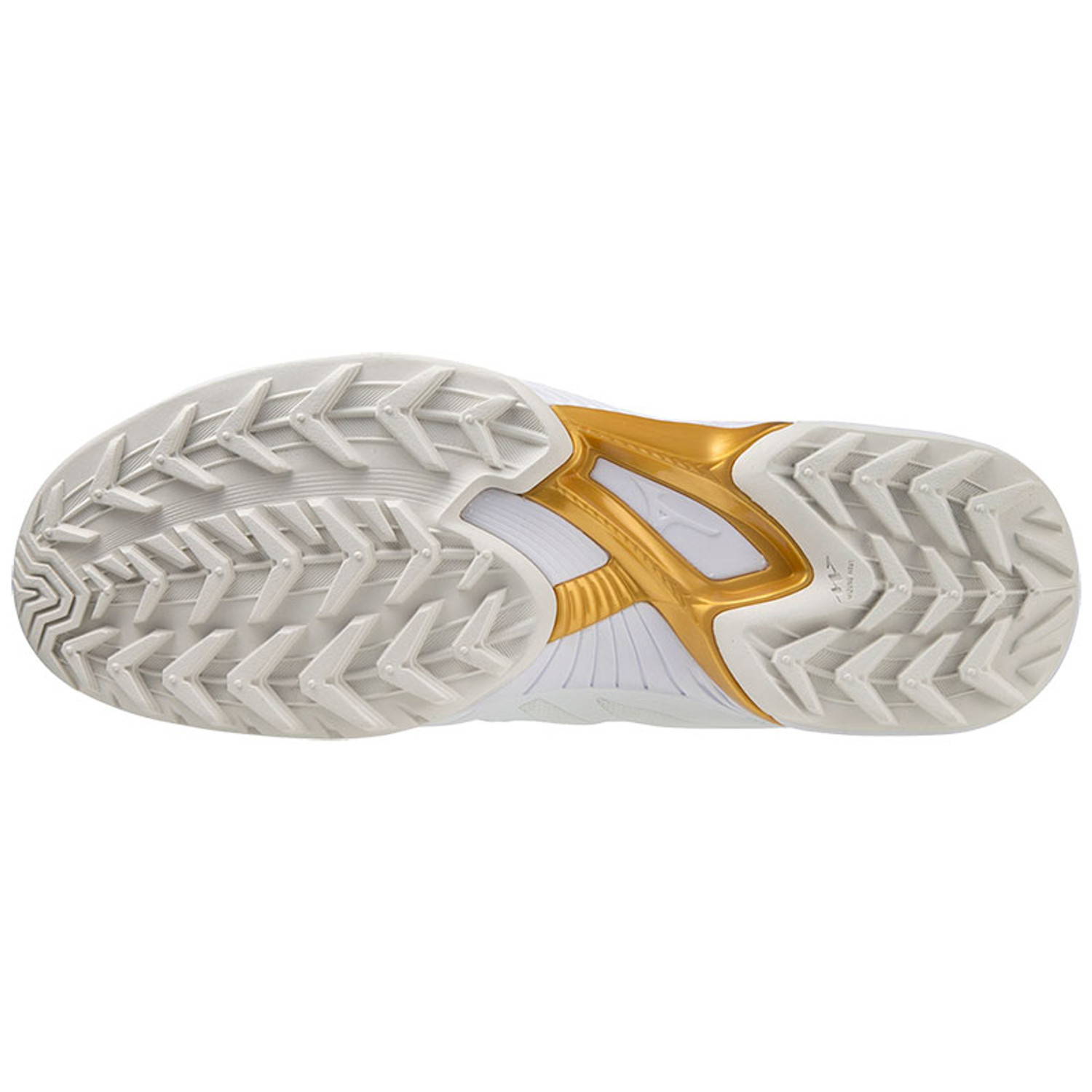 Mizuno Wave Panthera