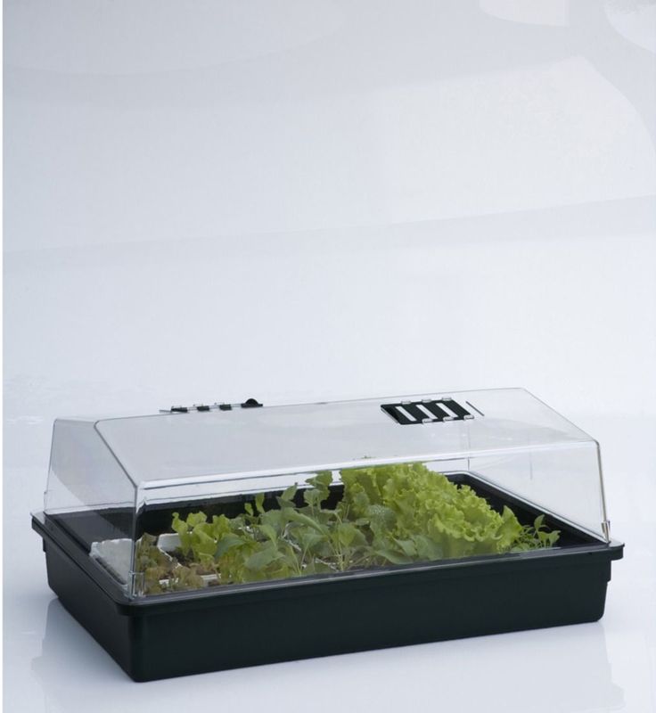 Grote kweekbak/kweekkastje met deksel 24 x 59 x 39 cm - Propagator/moestuinbak
