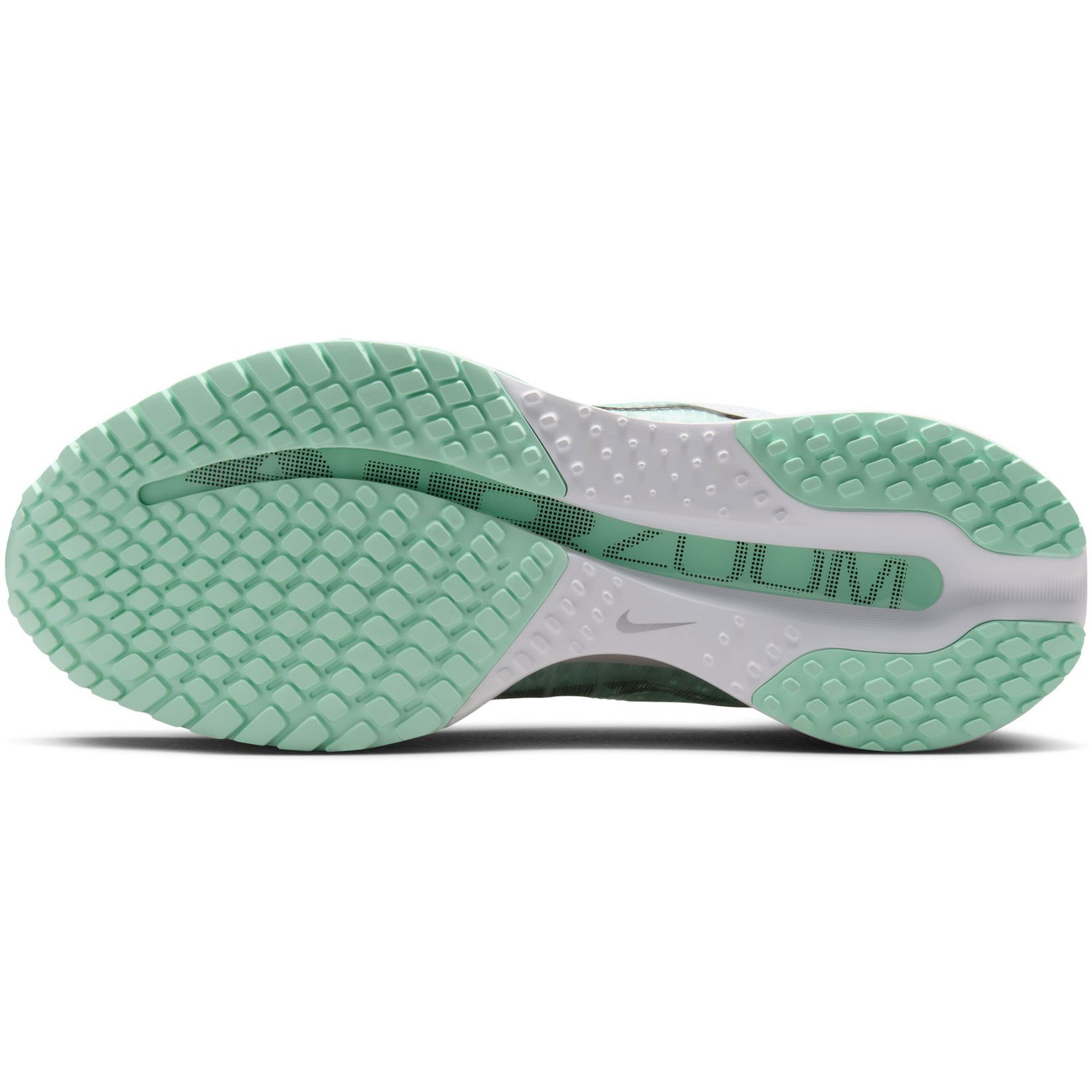 Nike Pegasus Premium Dames