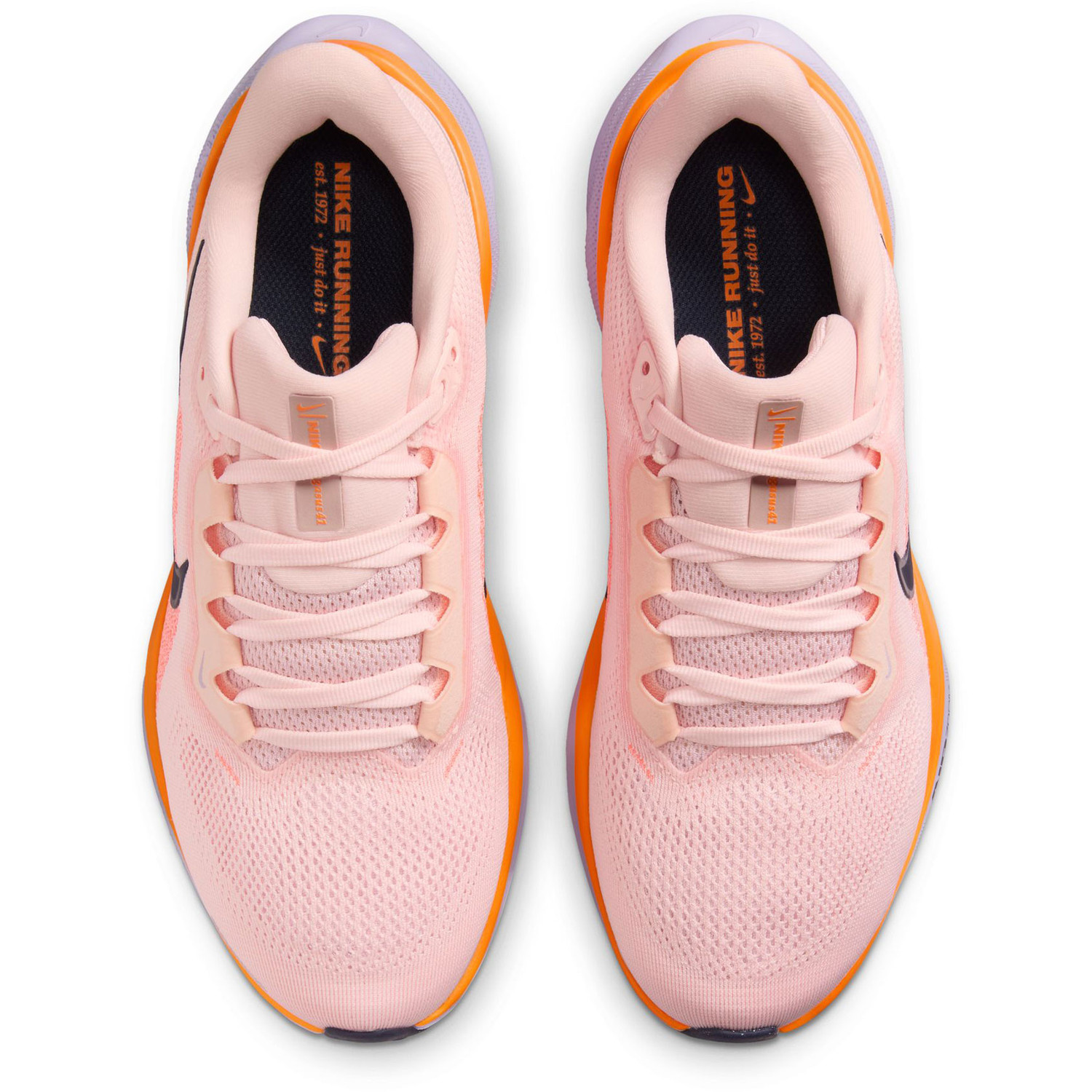 Nike Pegasus 41 Dames