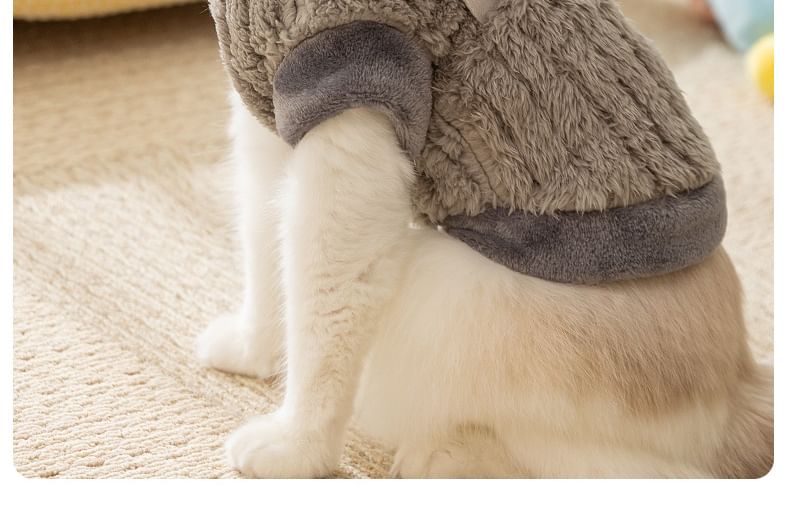 2 nachten - Bear Chenille Pet Top