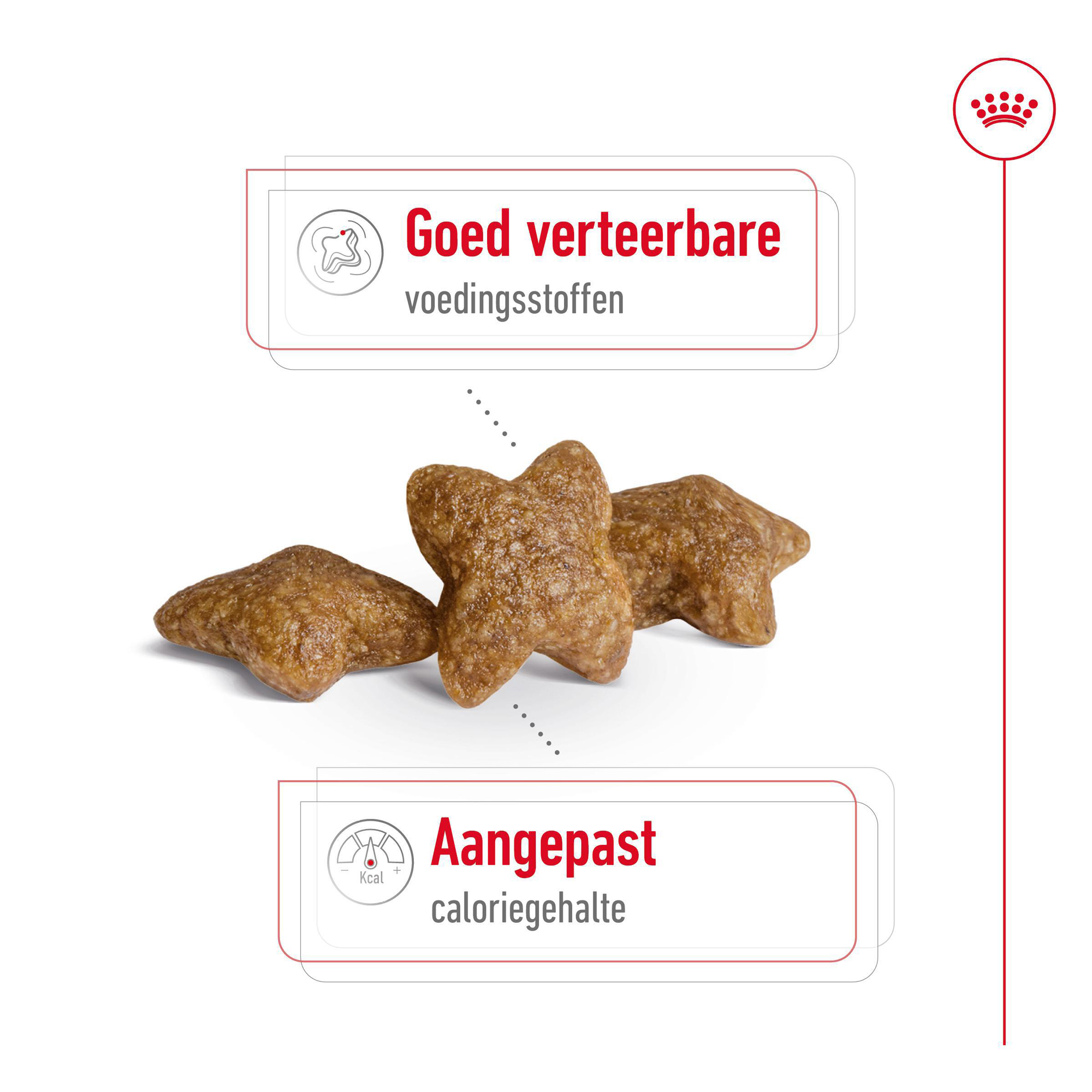 Royal Canin Mini Adult - Hondenvoer