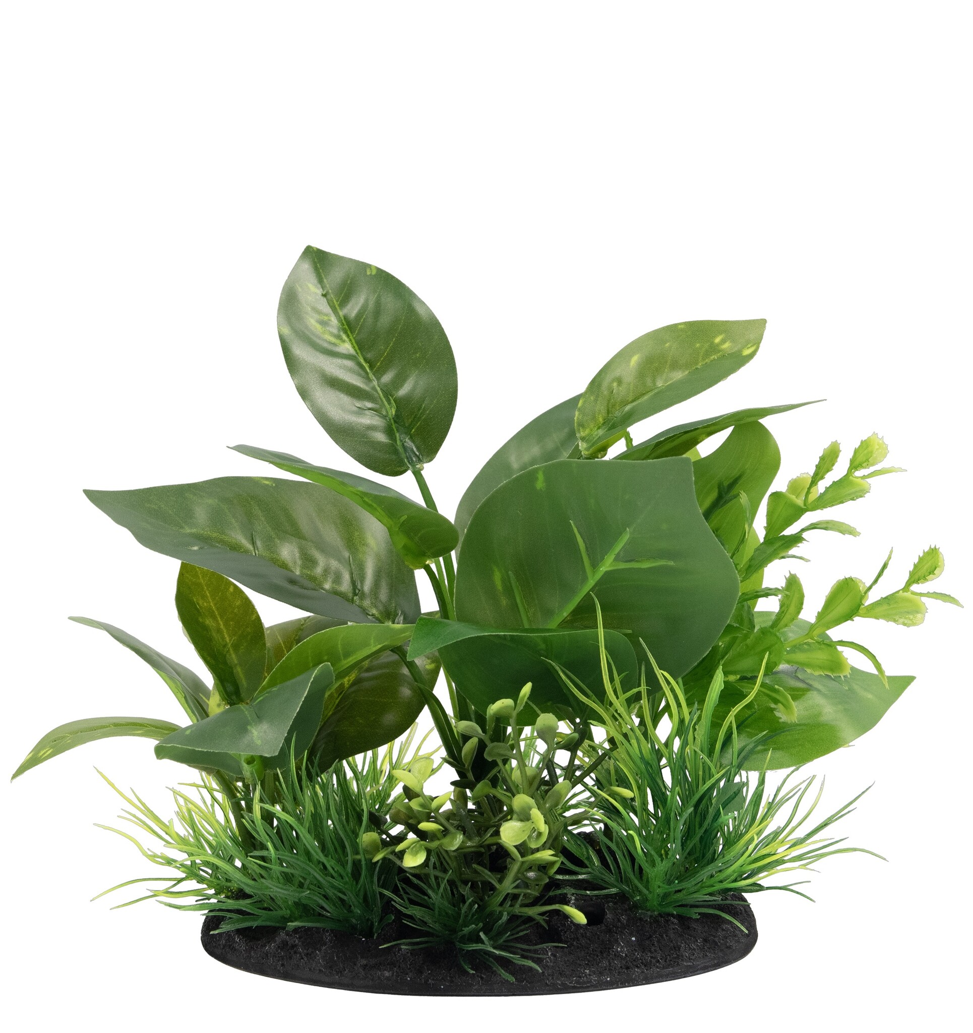 Deco Plant S5