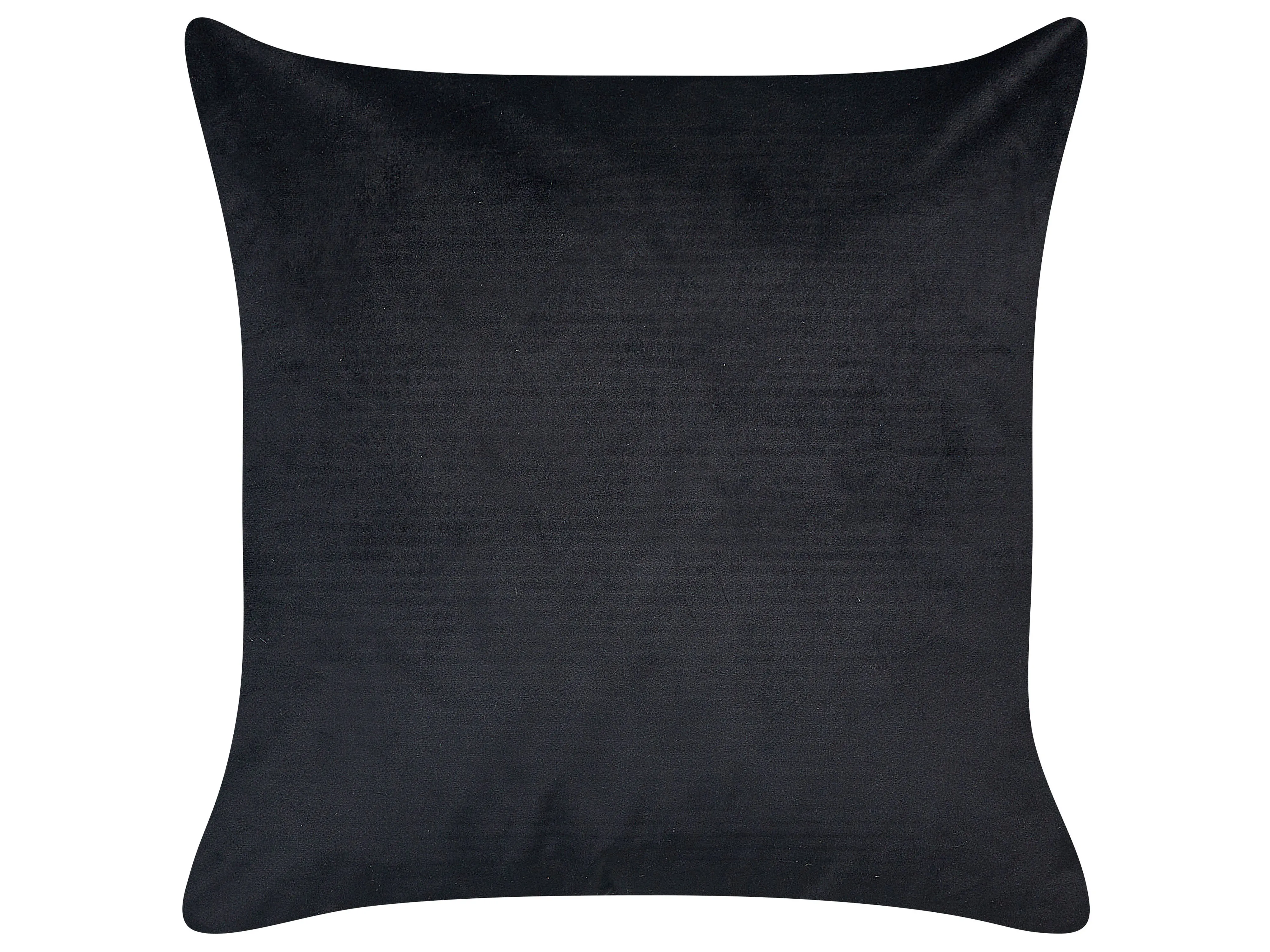 Set van 2 sierkussens YUZURI Fluweel 45 x 45 cm Zwart dierenprint