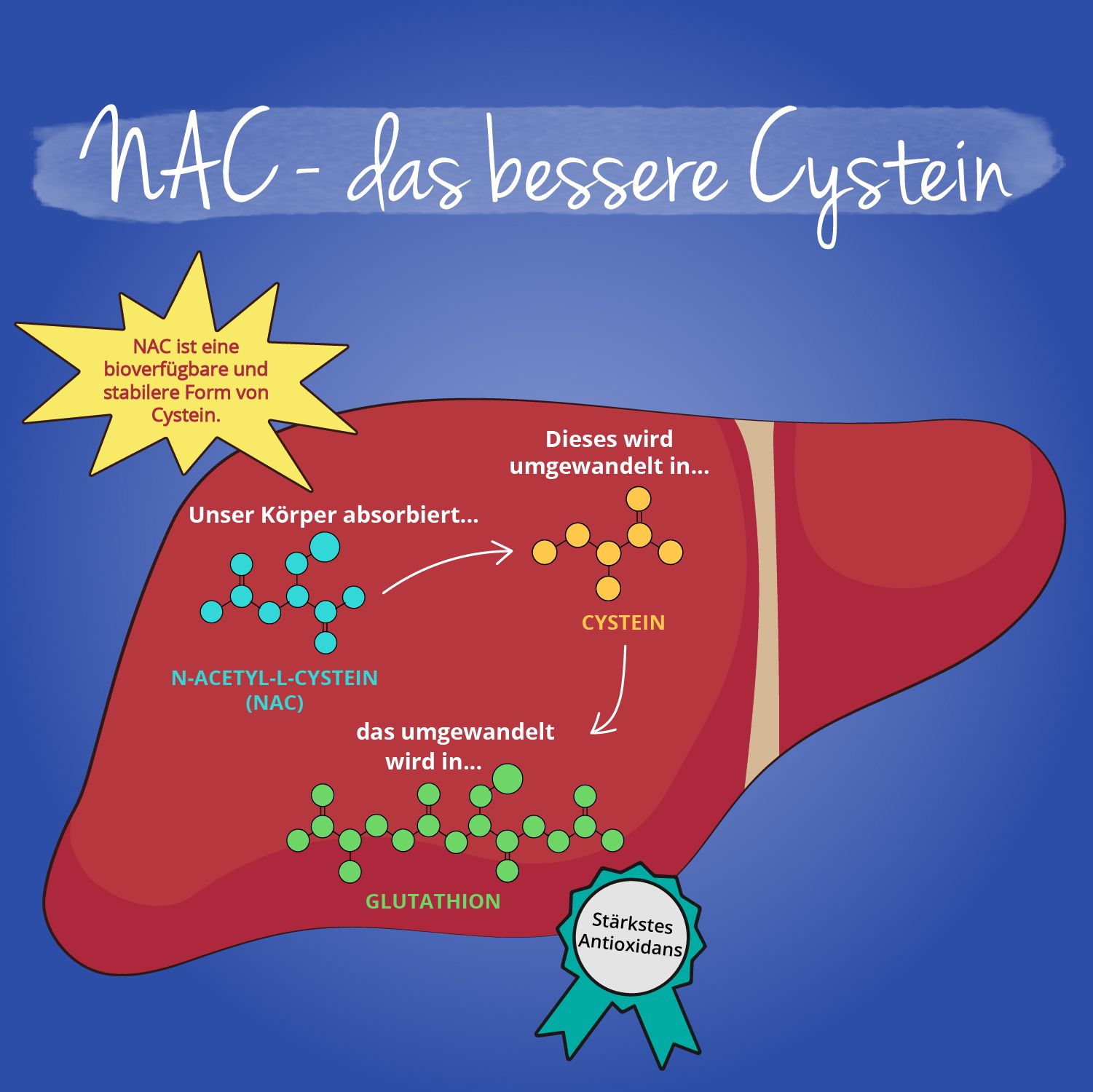 VEGAVERO NAC