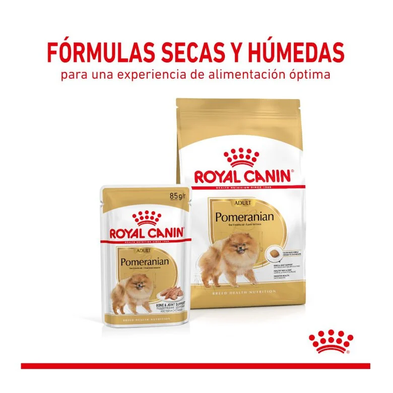 Ração Royal Canin para cães adultos da raça Pomeranian