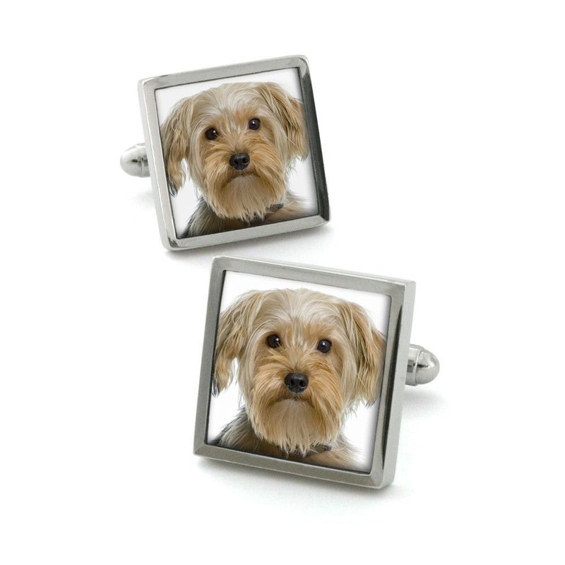 Boutons de manchette, Terrier