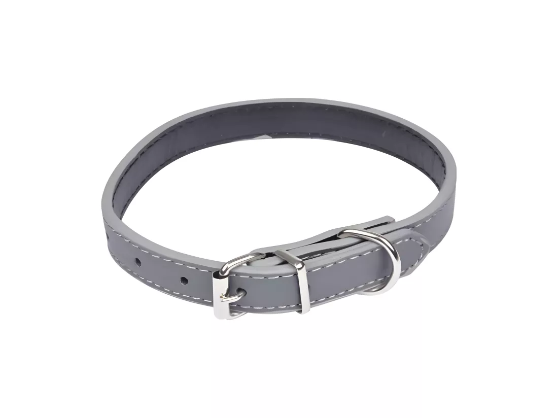Collier pour Chien 