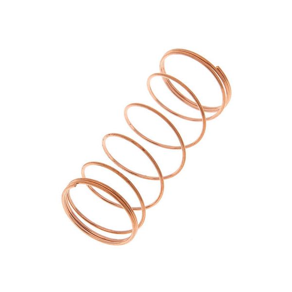 Thomann Valve Spring 15,8x35,5