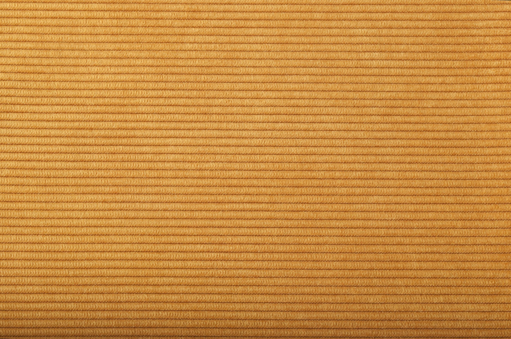 ARMCHAIR RIDGE RIB YELLOW 24A