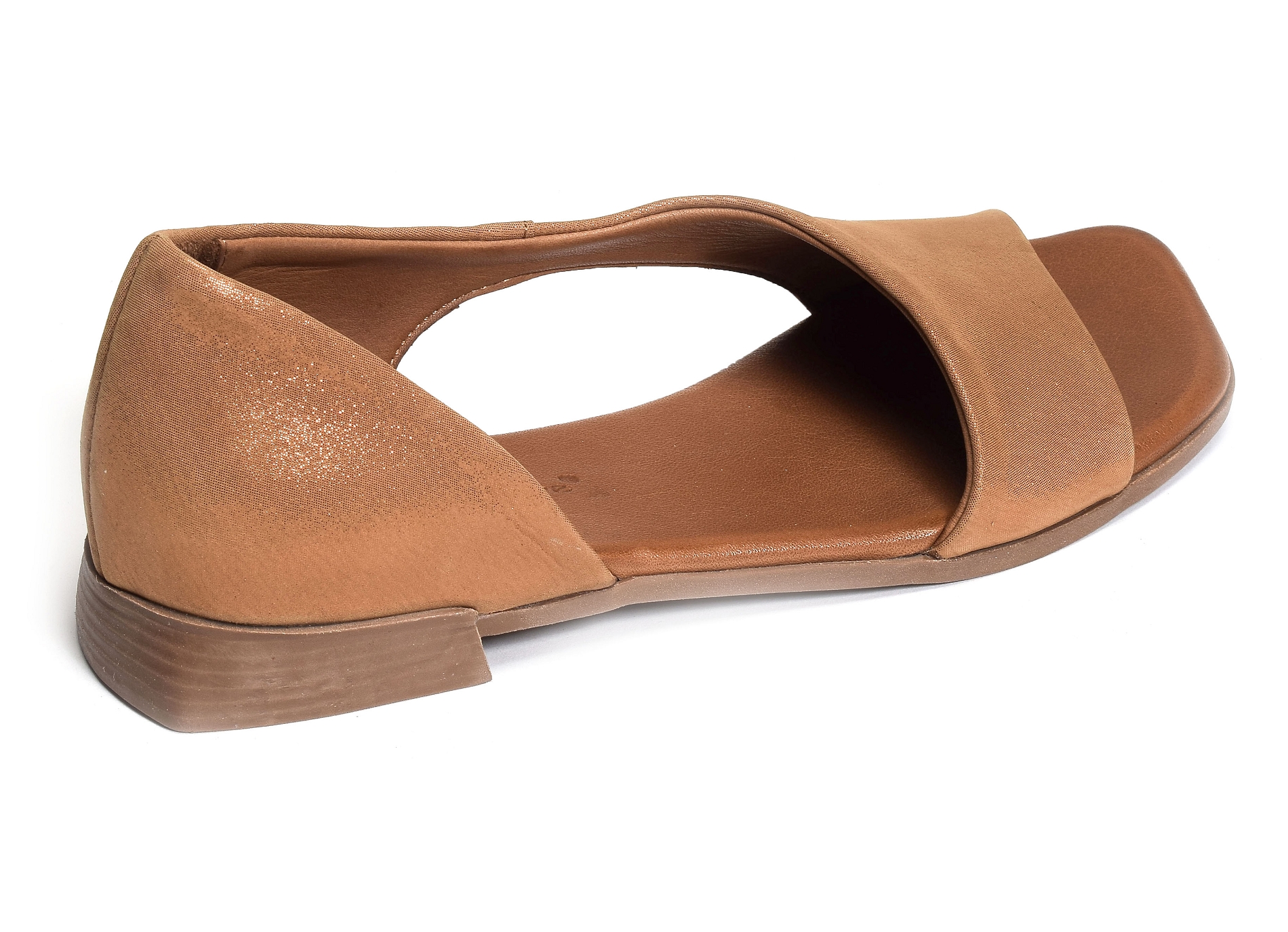 Paolina camel