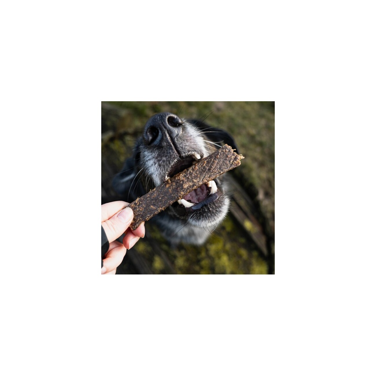 Bellfor Hundesnack - Fleischstreifen Ziege - 100g