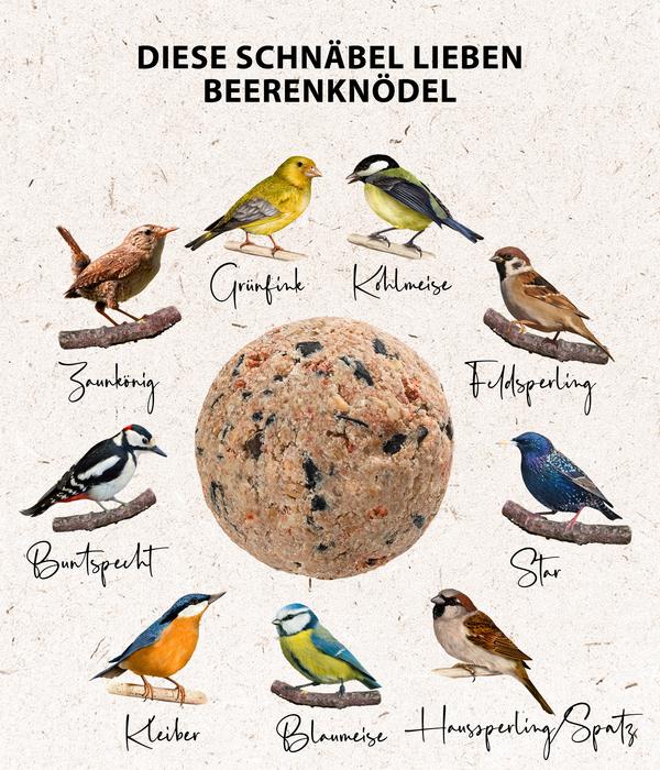 Dehner Natura Premium Wildvogelfutter