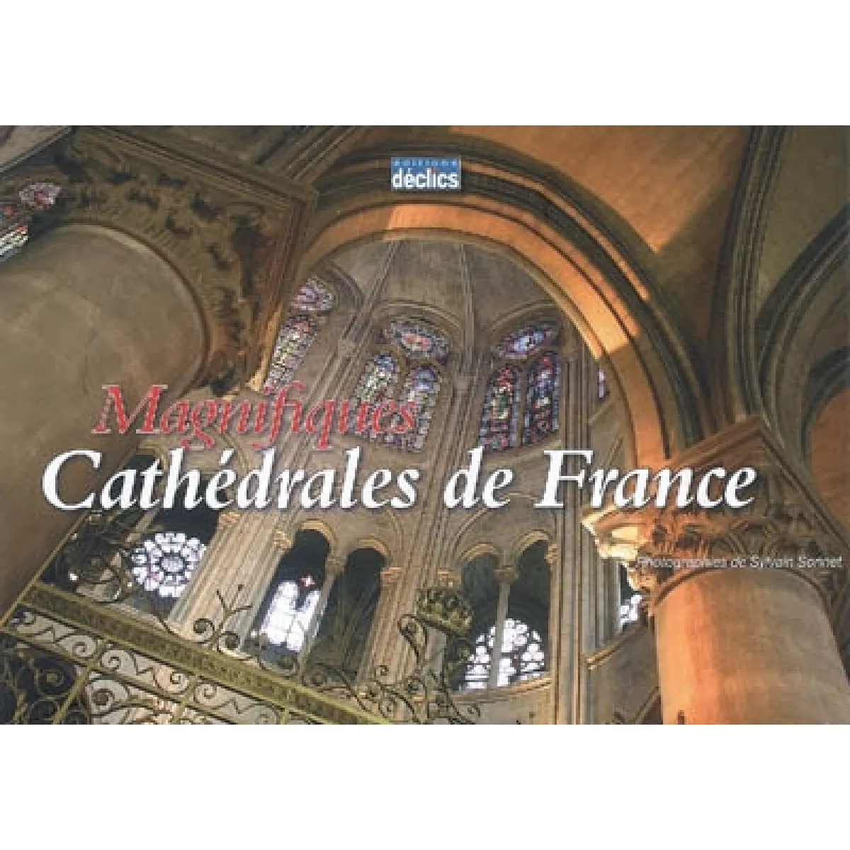 Magnifiques cathédrales de France · Occasion