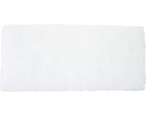 Fijne witte rasppad