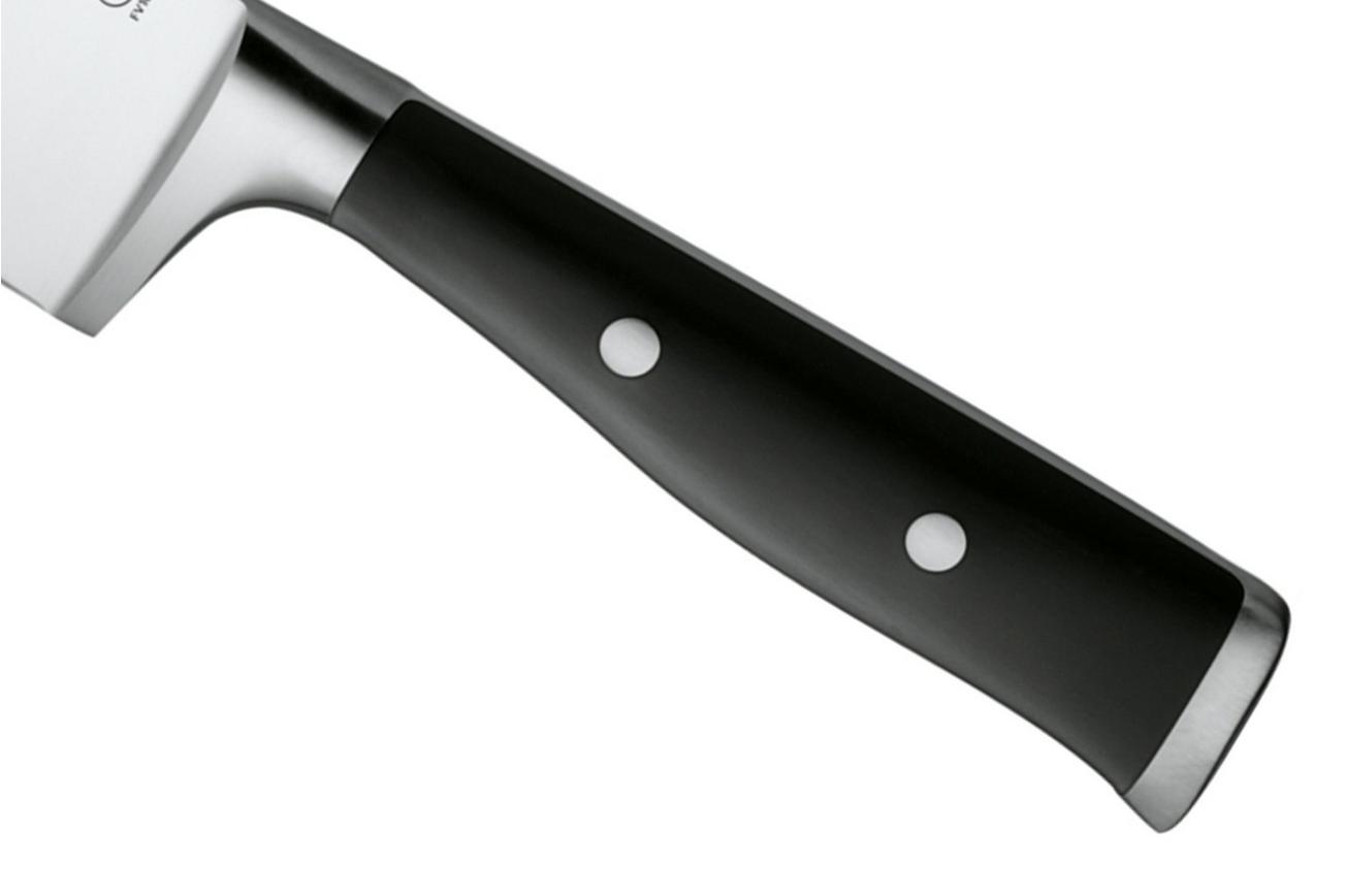 WMF Grand Class 1891716032, koksmes 20 cm